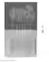 Fig. 08 - Security sheet or document having one or more enhanced watermarks