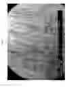 Fig. 02 - COMPOSITE PANEL WITH SOLID POLYURETHANE BINDER, AND PROCESS FOR MANUFACTURE