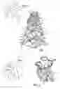 Fig. 02 - Node structures for lattice frames