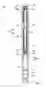 Fig. 08 - Selectively actuating expandable reamers and related methods