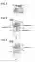 Fig. 07 - Compact structure of gear pump designed to minimize loss of pumping torque