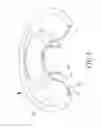 Fig. 05 - Gas blower