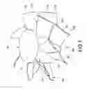 Fig. 02 - BLADE STRUCTURE OF AXIAL FAN
