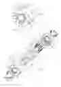 Fig. 02 - Torque limiting clutch