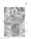 Fig. 04 - DISCONNECTABLE PULLEY DEVICE, ALTERNATOR COMPRISING SUCH A DEVICE AND INTERNAL COMBUSTION ENGINE EQUIPPED WITH SUCH A DEVICE OR SUCH AN ALTERNATOR