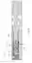 Fig. 06 - Multiple-ratio boost valve