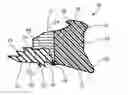 Fig. 01 - Pipe seal