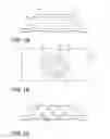 Fig. 02 - LUMINESCENT ELONGATED LIGHT ASSEMBLY