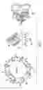 Fig. 02 - Gold and silver quantum clusters in molecular containers and methods for their preparation and use