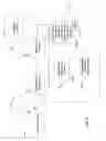Fig. 03 - Analysis of exhaust gas