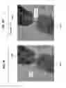 Fig. 09 - MANUFACTURABLE SUB-3 NANOMETER PALLADIUM GAP DEVICES FOR FIXED ELECTRODE TUNNELING RECOGNITION