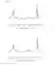 Fig. 06 - Non-invasive method for measuring proliferation and differentiation state of cells by using magnetic resonance spectroscopy, and cell proliferation and differentiation marker for magnetic spectroscopy used therefor