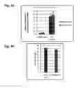 Fig. 06 - QUANTITATIVE ANALYSIS OF CONTACT-DEPENDENT CELL-TO-CELL TRANSFER AND DISEASE TRANSMISSION