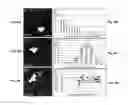 Fig. 07 - QUANTITATIVE ANALYSIS OF CONTACT-DEPENDENT CELL-TO-CELL TRANSFER AND DISEASE TRANSMISSION
