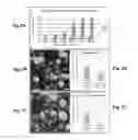 Fig. 08 - QUANTITATIVE ANALYSIS OF CONTACT-DEPENDENT CELL-TO-CELL TRANSFER AND DISEASE TRANSMISSION