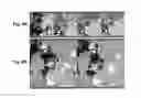 Fig. 09 - QUANTITATIVE ANALYSIS OF CONTACT-DEPENDENT CELL-TO-CELL TRANSFER AND DISEASE TRANSMISSION