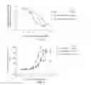 Fig. 07 - ASSAY SYSTEM FOR GLP-2 RECEPTOR LIGANDS
