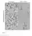 Fig. 30 - sAPP-alpha as a Biomarker for Prediction of Inflammatory and Autoimmune-Related Disorders