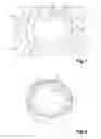 Fig. 02 - Method for producing microcarriers and for performing biological assays