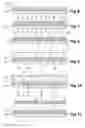 Fig. 04 - Method for producing microcarriers and for performing biological assays