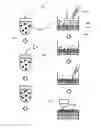 Fig. 01 - Analysis device and analysis method