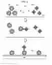 Fig. 05 - Analysis device and analysis method