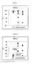 Fig. 02 - COMPOSITION FOR DIAGNOSIS OF BEHCET'S DISEASE