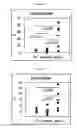Fig. 07 - COMPOSITION FOR DIAGNOSIS OF BEHCET'S DISEASE
