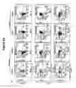 Fig. 08 - COMPOSITION FOR DIAGNOSIS OF BEHCET'S DISEASE