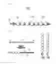 Fig. 02 - Nanoprobe and method for detecting target analyte using the same