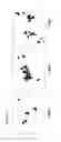 Fig. 12 - ANTIBODIES SPECIFIC TO E6 PROTEINS OF HPV AND USE THEREOF
