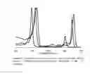 Fig. 04 - Porphyrinic compounds for use in flow cytometry