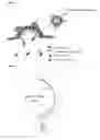 Fig. 02 - Trapping mammalian protein-protein complexes in virus-like particles utilizing HIV-1 GAG-bait fusion proteins