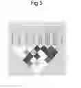 Fig. 07 - BIOMARKERS FOR TANGLE-PREDOMINANT DEMENTIA