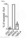 Fig. 08 - Polypeptides, nucleic acids and uses thereof