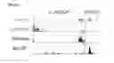 Fig. 77 - Polypeptides, nucleic acids and uses thereof