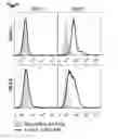 Fig. 79 - Polypeptides, nucleic acids and uses thereof