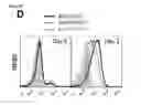 Fig. 80 - Polypeptides, nucleic acids and uses thereof
