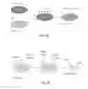 Fig. 06 - Capillary network devices and methods of use