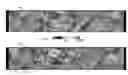 Fig. 01 - SYSTEM AND METHOD FOR IDENTIFYING SUBSURFACE DISCONTINUITIES FROM SEISMIC DATA