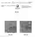 Fig. 07 - Detecting Hydrocarbons in a Geological Structure