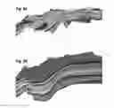 Fig. 06 - SUBSURFACE MODELING SYSTEMS AND METHODS HAVING AUTOMATED EXTRAPOLATION OF INCOMPLETE HORIZONS