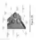 Fig. 06 - Method and apparatus for augmenting and correcting mobile camera optics on a mobile device