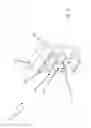 Fig. 05 - Device for a microscope stage