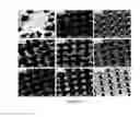 Fig. 06 - Superoleophobic surfaces and methods of making same
