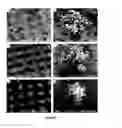 Fig. 08 - Superoleophobic surfaces and methods of making same