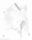 Fig. 02 - Electric device