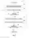 Fig. 07 - Lazy initialization of operator graph in a stream computing application