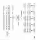 Fig. 10 - Identifying a potentially compromised encoded data slice
