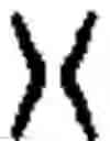 Fig. 08 - Entanglement in a pair of subjects whose contextualization of a proposition is tracked in a quantum representation